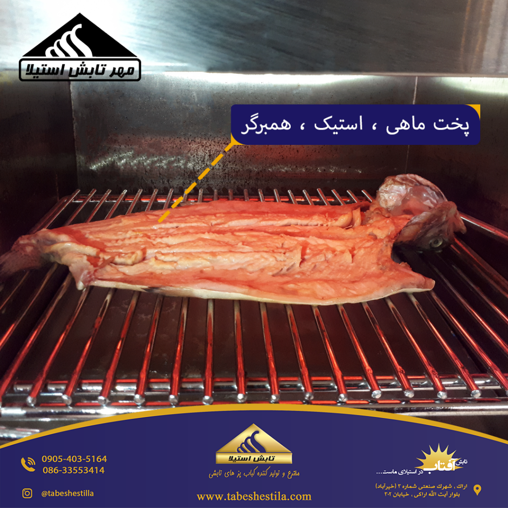 پخت ماهی با کباب پز تابشی