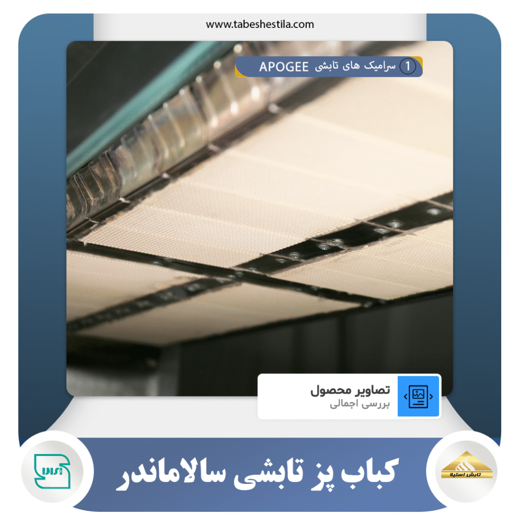 سرامیک کباب پز تابشی هامون 20 سیخ